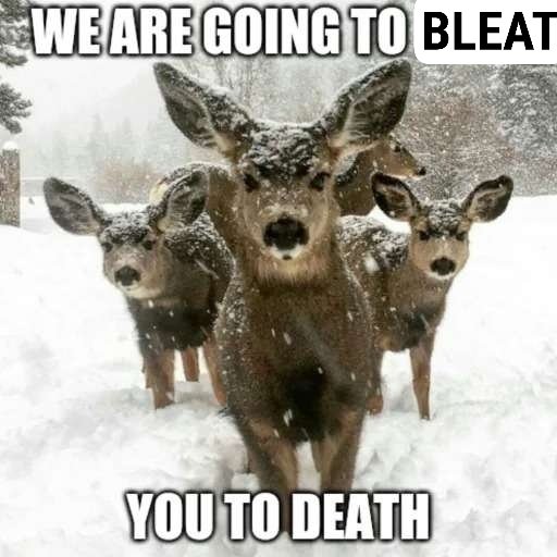 🏳️‍⚧️🏴Anxious Doe🏴🏳️‍⚧️ tweet media