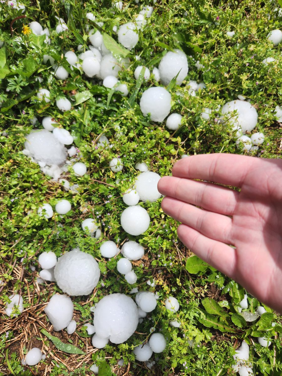 MikeyDoesX's tweet image. Glad my car was in the garage OMG. BASEBALL Sized Hail in Springfield Missouri! Gutters are done. Fence is damaged, Neighbors cars dented to shit, sirens everywhere, power's out, windows cracked.. I hope everyone's safe out there! #Hail #Springfield #Missouri  #Photography