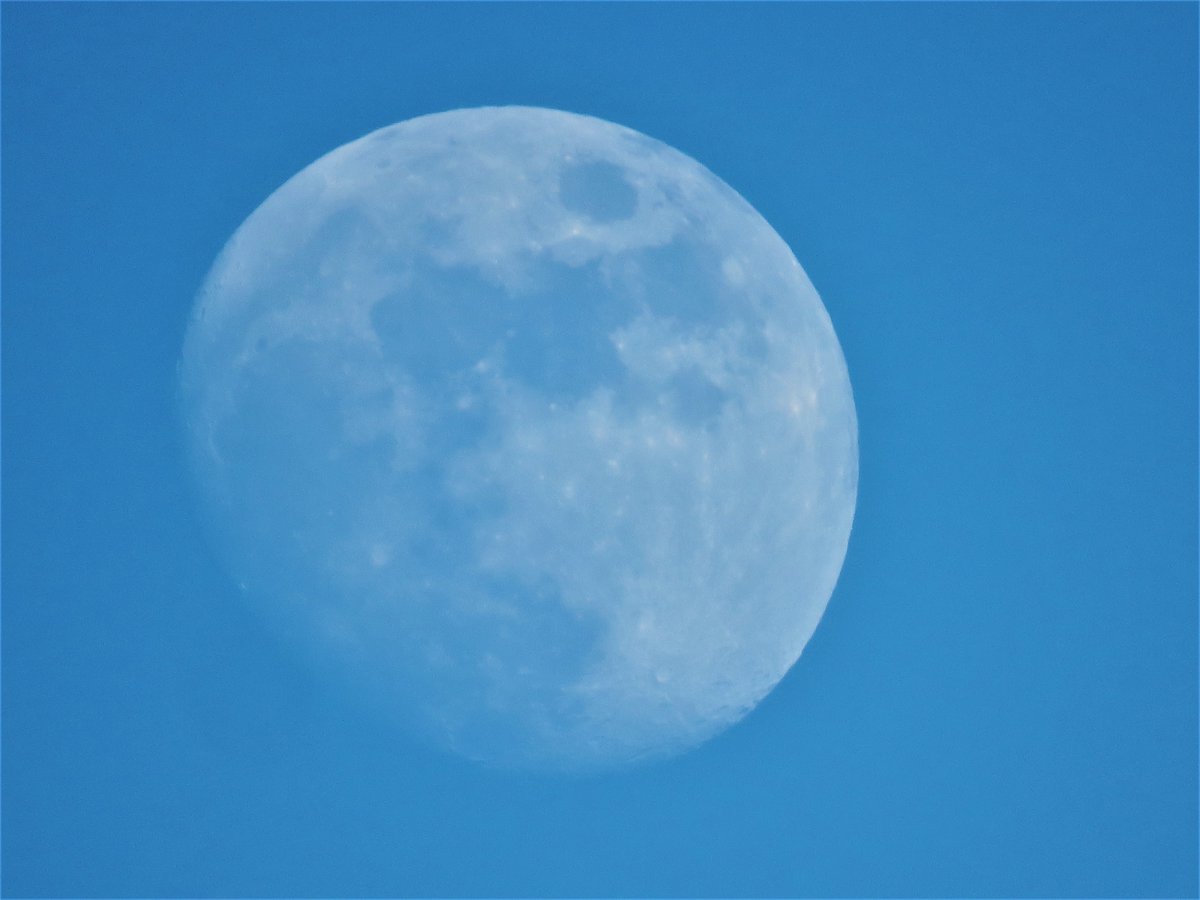 _DundeePerfect_'s tweet image. #Dundee having a nice day.