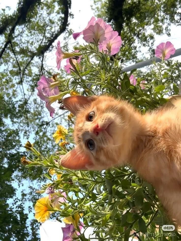 Purely Green tweet media