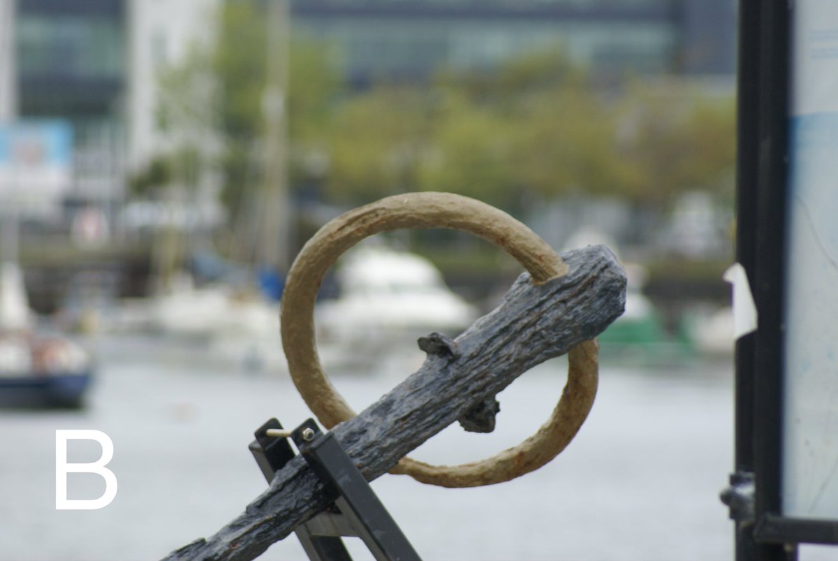 WHMyPerspective's tweet image. Trying to be #creative 

Which photo A or B?

#Photo #Photography