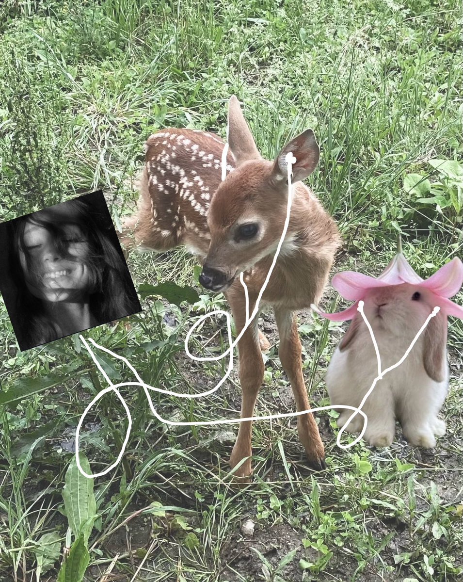 selin ❦ tweet media