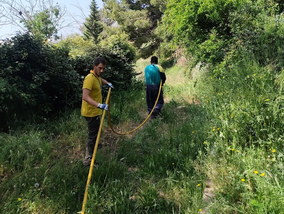 ADF196SantFeliu's tweet image. El passat cap de setmana vam començar a preparar el vehicle de cara la campanya d'incendis. També vam dur a terme la primera formació de motobomba.

Enguany hem de dur la terme la formació al nostre local.

#adf #adfcat #voluntariat