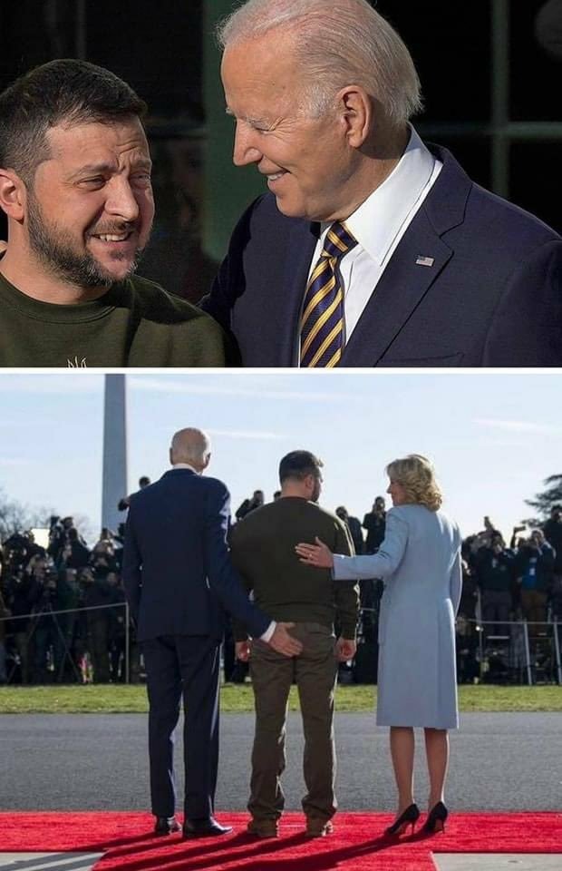 Ray Zorback tweet media