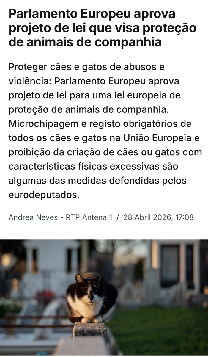 Andrea Duarte Neves tweet media