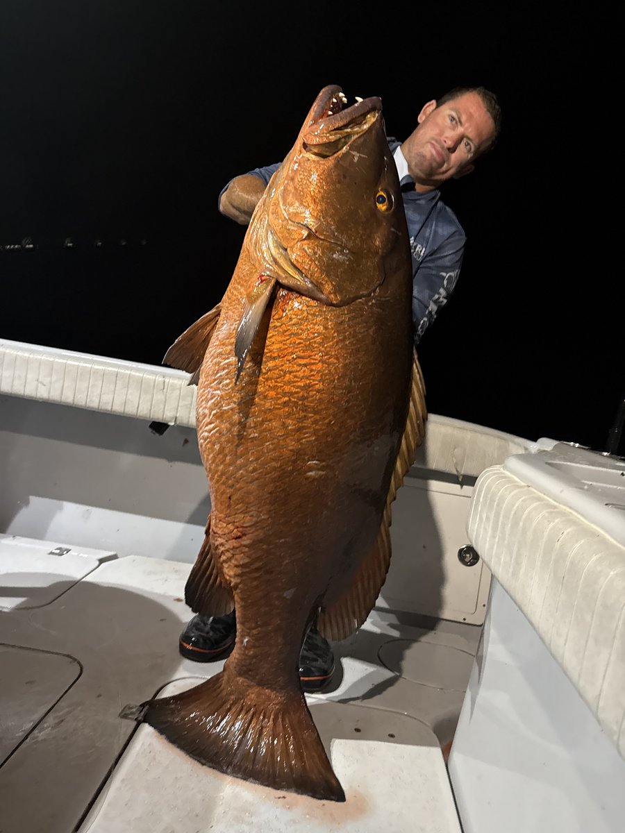 Reel Guides tweet media