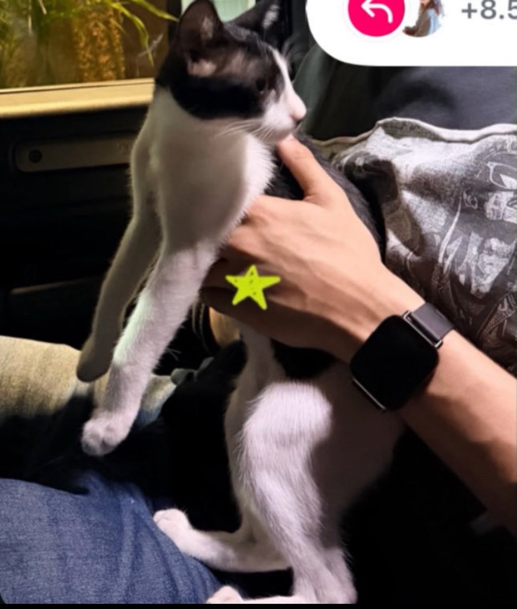 PIKKACHUU1 tweet media