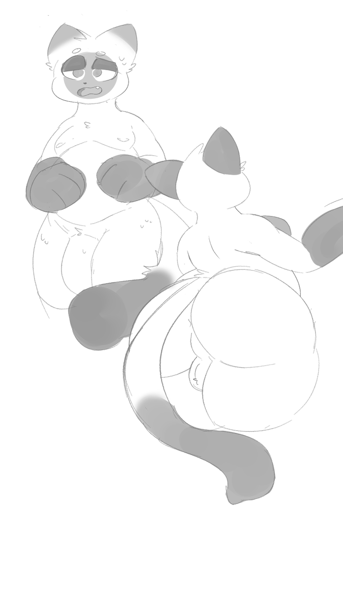 Dangermons's tweet photo. cattos https://t.co/Yox583ayxa
