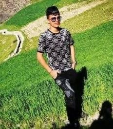 Shahnoosh tweet media