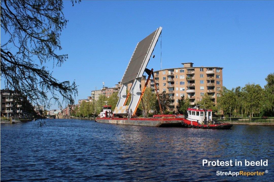 Protestinbeeld tweet media