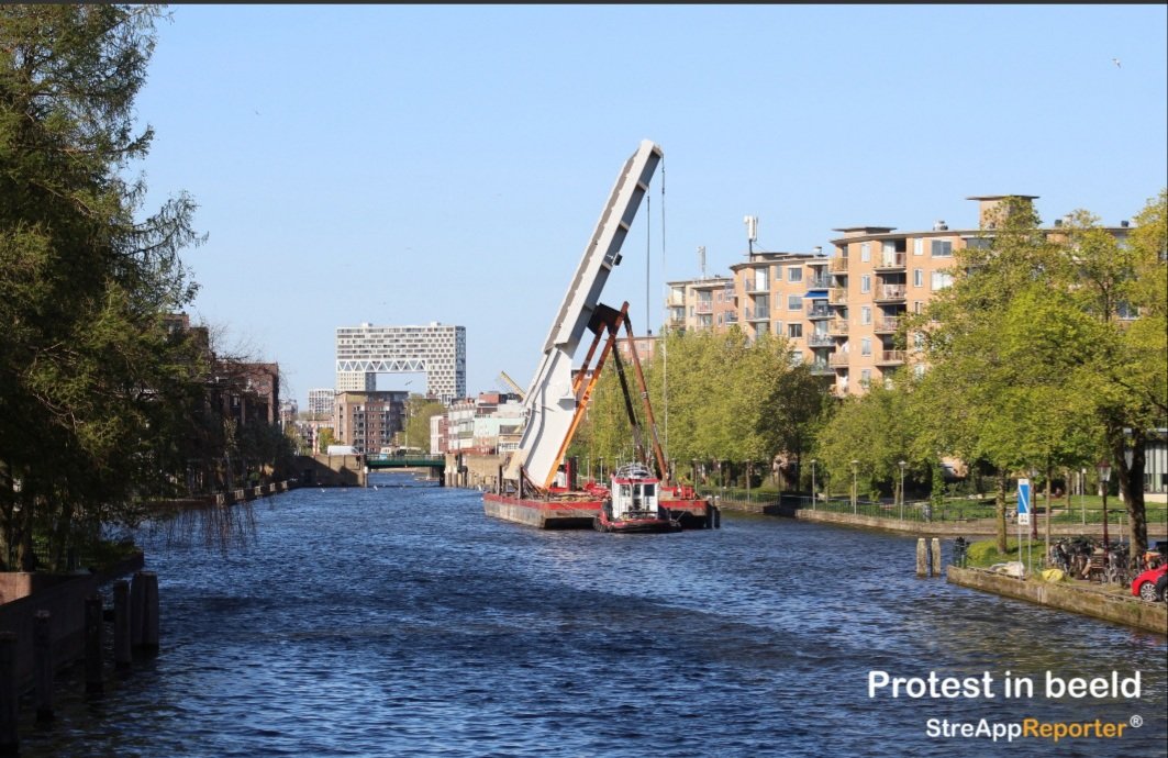 Protestinbeeld tweet media