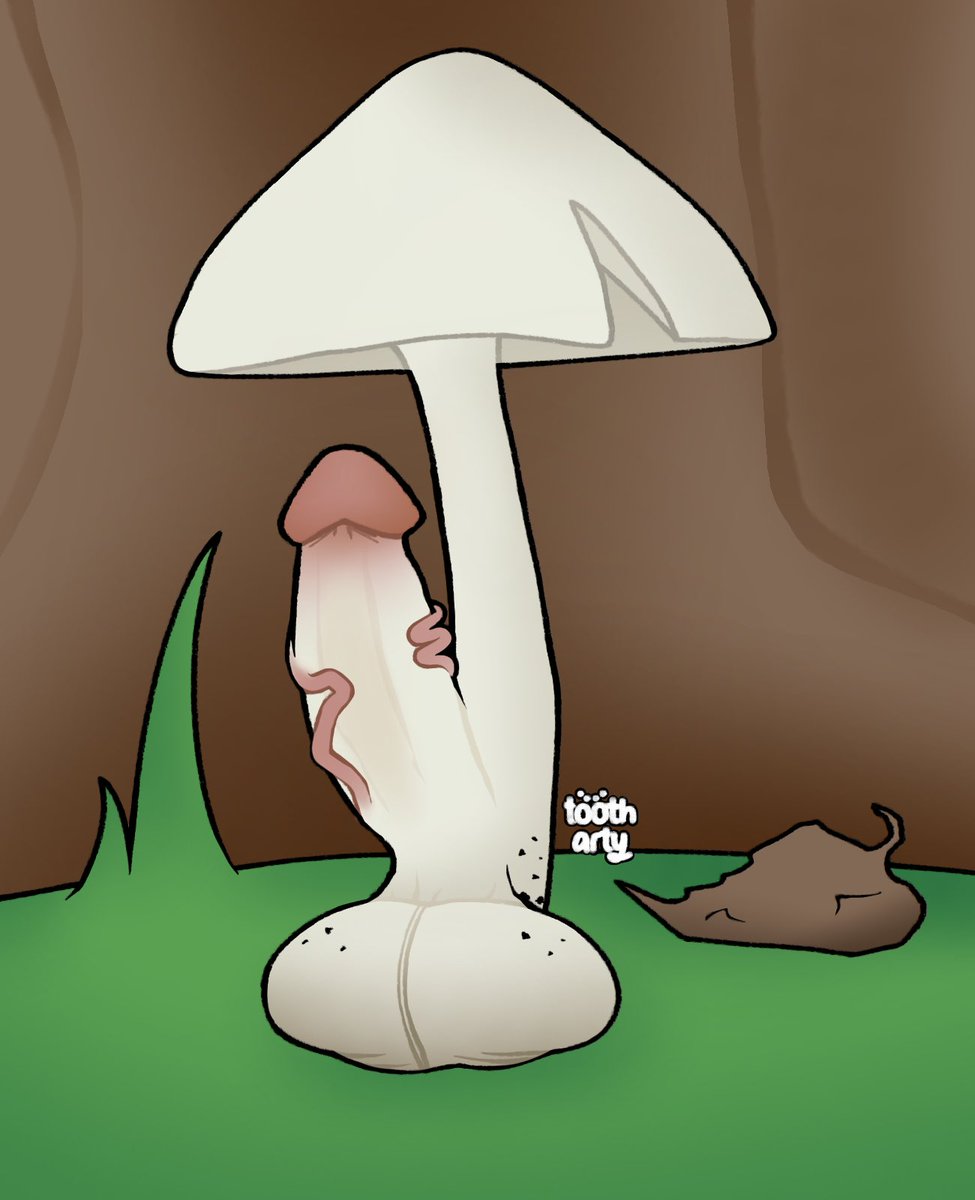 Tooth 🕷️ 🔞 tweet media