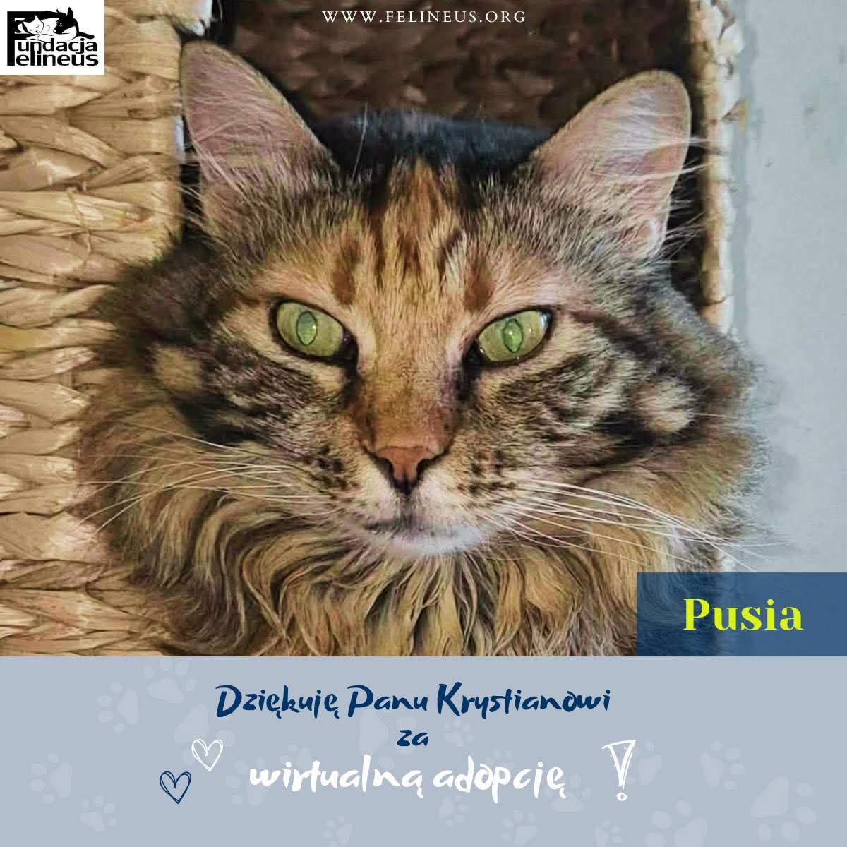 Fᴜɴᴅᴀᴄᴊᴀ Fᴇʟɪɴᴇᴜs tweet media