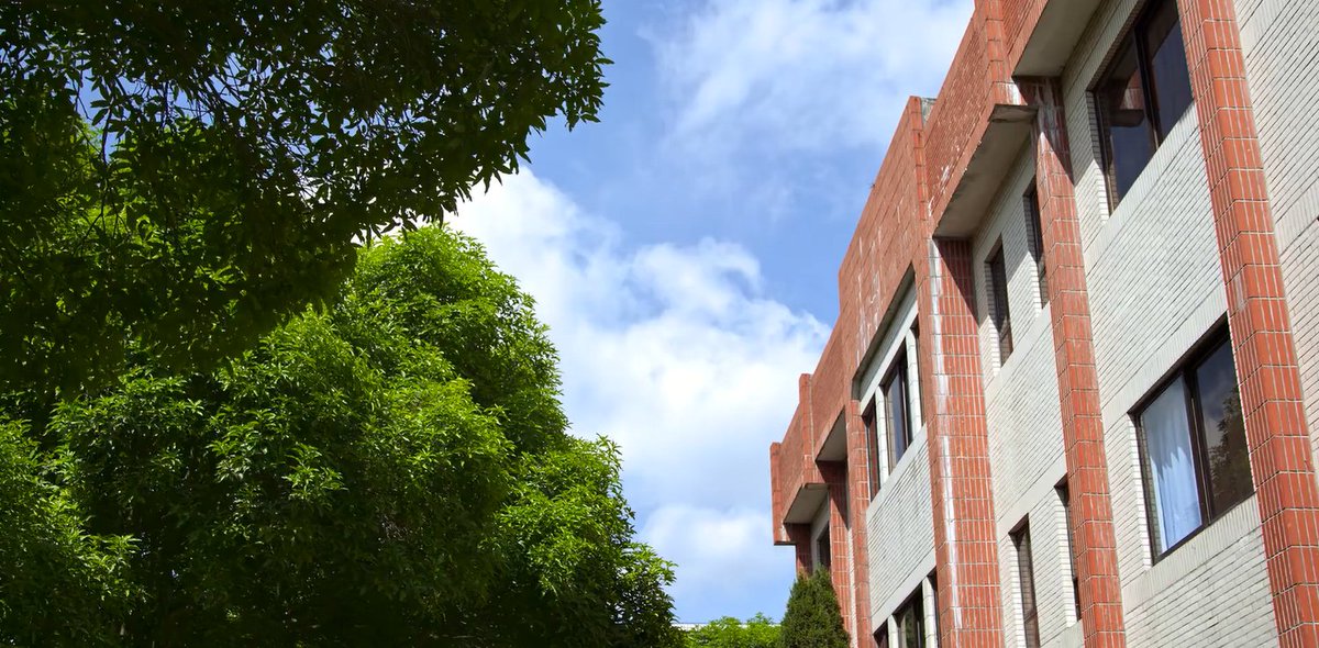 RoushdyBinge's tweet image. #MyLove