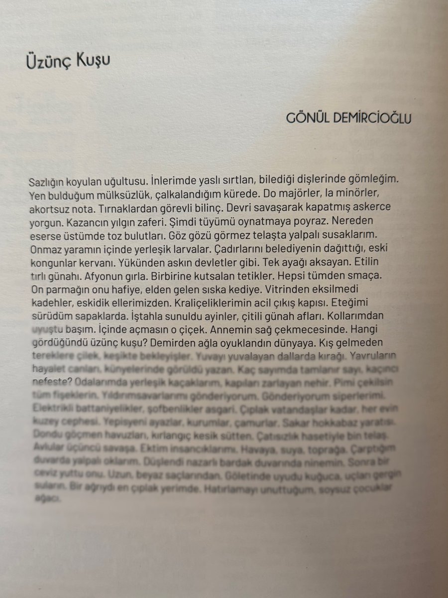 Gönül Demircioğlu tweet media