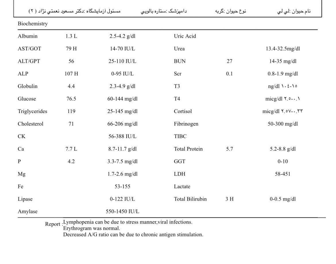 سیمای زنی در میان جمع tweet media