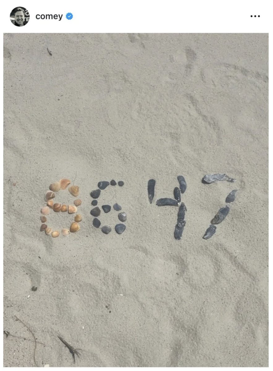 Catturd ™ tweet media