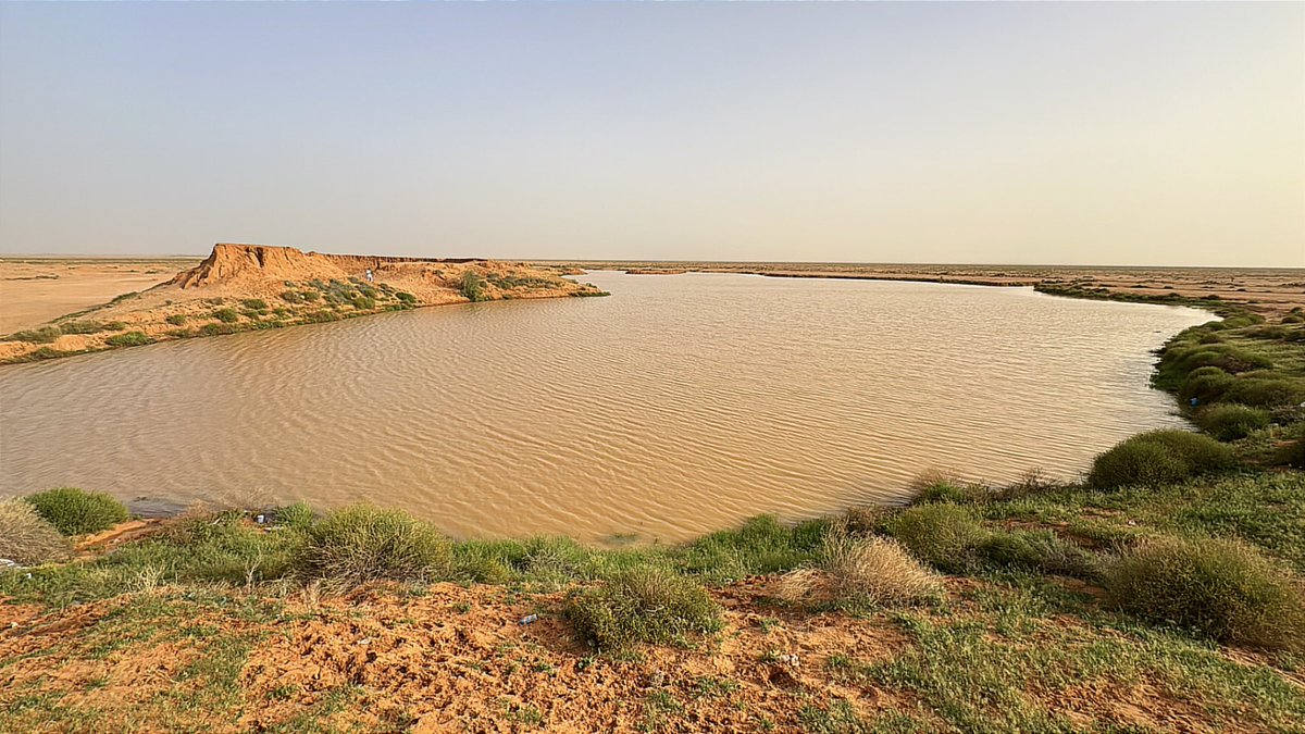 محمد الفرحان tweet media