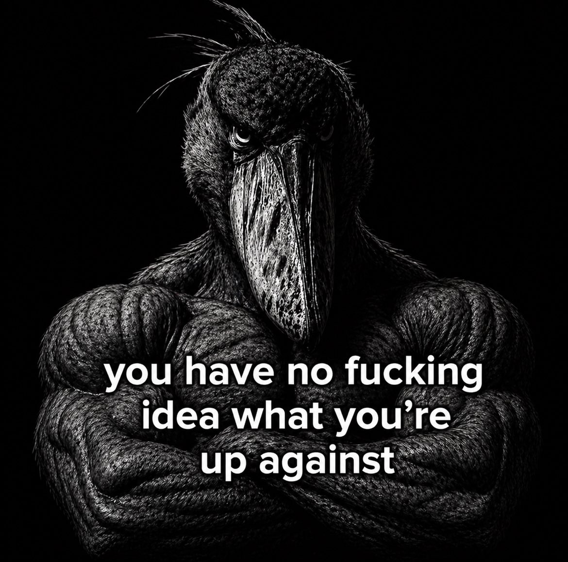 Shoebill tweet media