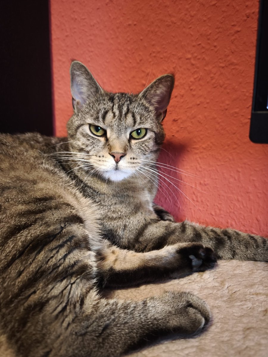 Sven Bartels tweet media