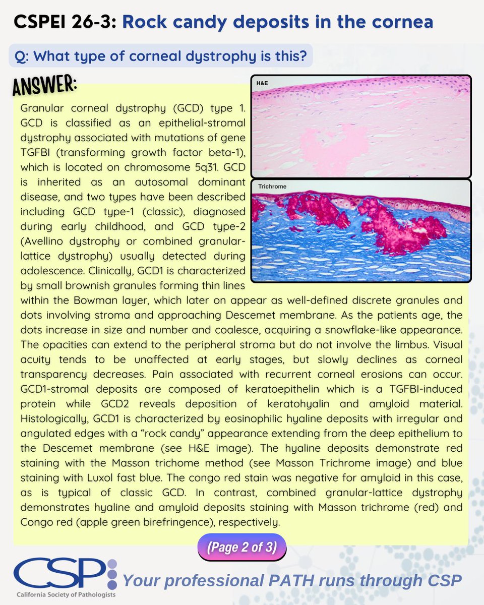 Ca Pathologists tweet media