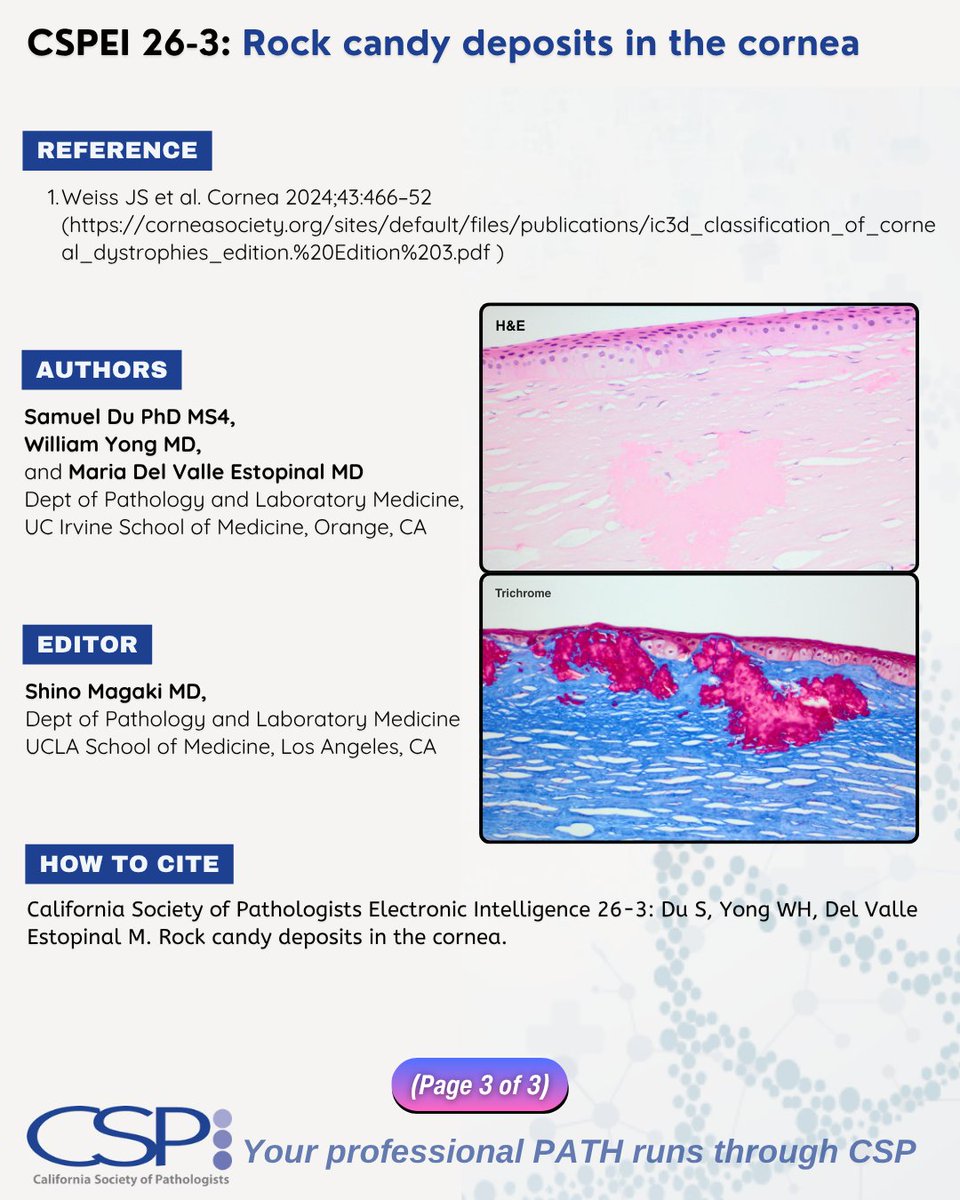 Ca Pathologists tweet media