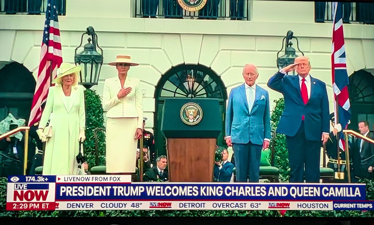 So many pedos in one place