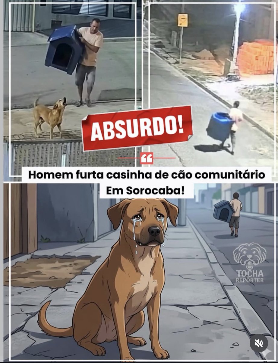 E esse desquerido q, em plena madrugada em Sorocaba, decidiu furtar a casinha de um cachorro?

O caramelo latia, tentando proteger seu único abrigo, enquanto o sujeito furtava sem remorso algum.

Bora fazer a lataria desse 💩circular até ele ficar famoso?

IG Bruno Werlich