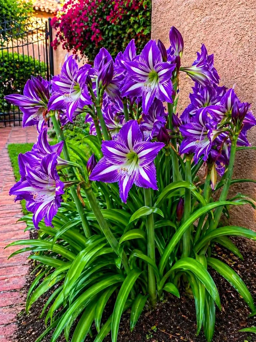 flowersworld298's tweet image. 