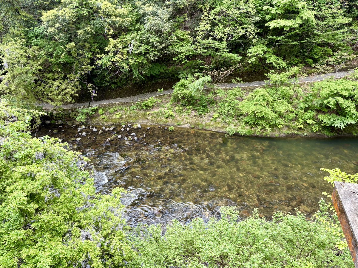 アイアン奥さん tweet media