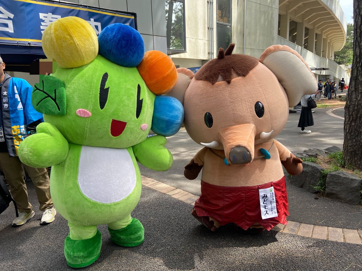 みどモス【公式】 tweet media