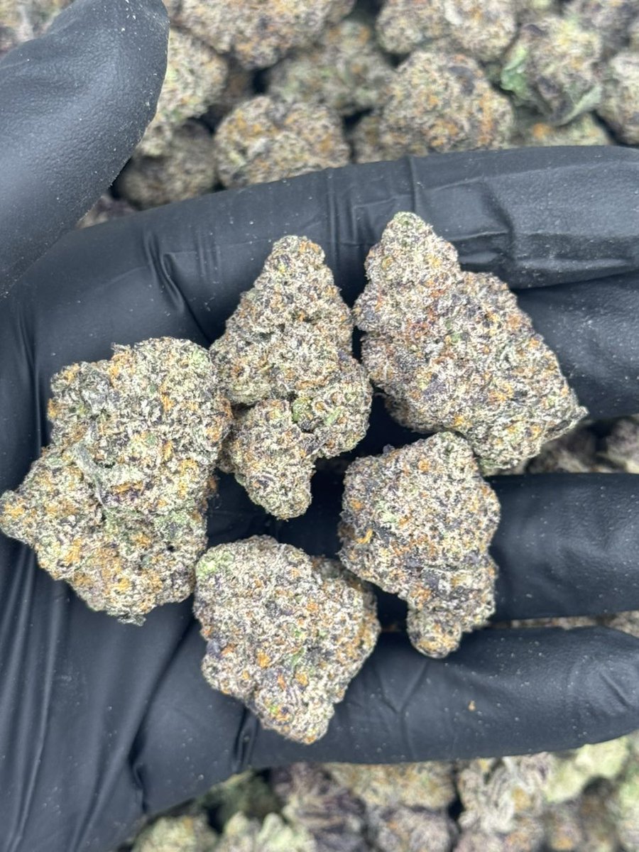 og_smoka's tweet image. Let's just have PLUTO 85
  CANDY // GASSY 
LICENSED ZA 
 #420Community
#420Friendly
#CannabisCommunity
#StonerFam
#Mmemberville
#topshelf
#mids
#kind
#brickweed