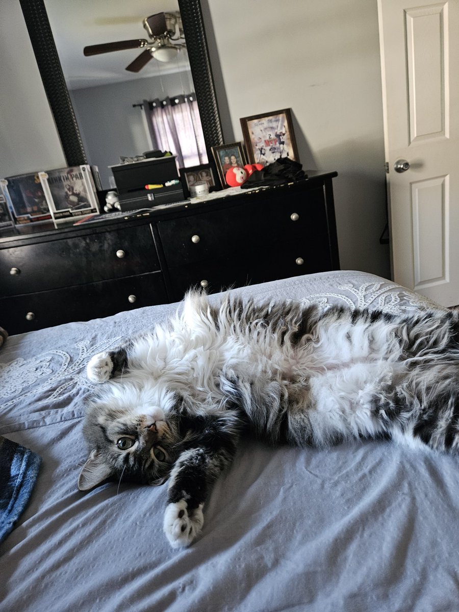 JamesMaldo44542's tweet photo. Pennywise.  It's a trap. Don't pet the belly. https://t.co/RgkL9HctEm
