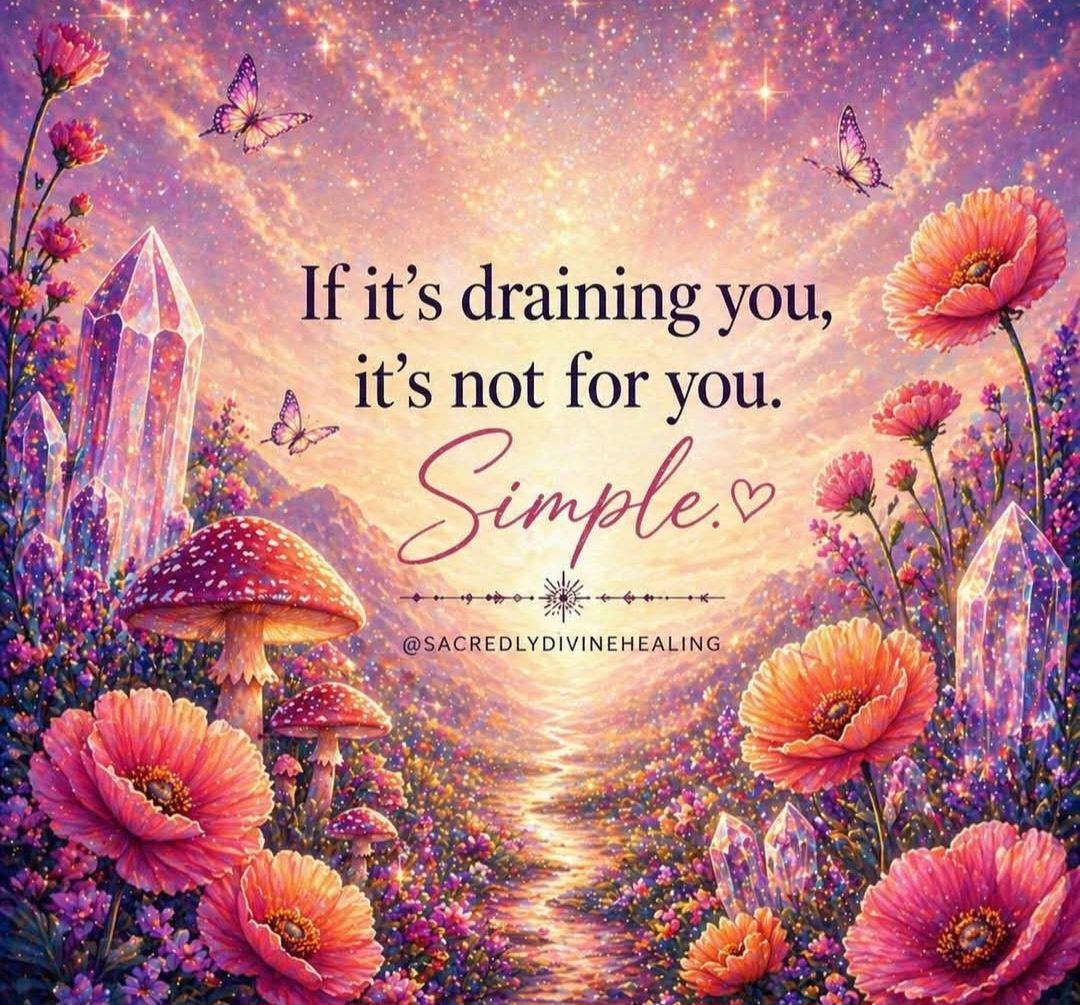 MichelleHardie6's tweet image. #TuesdayTruth