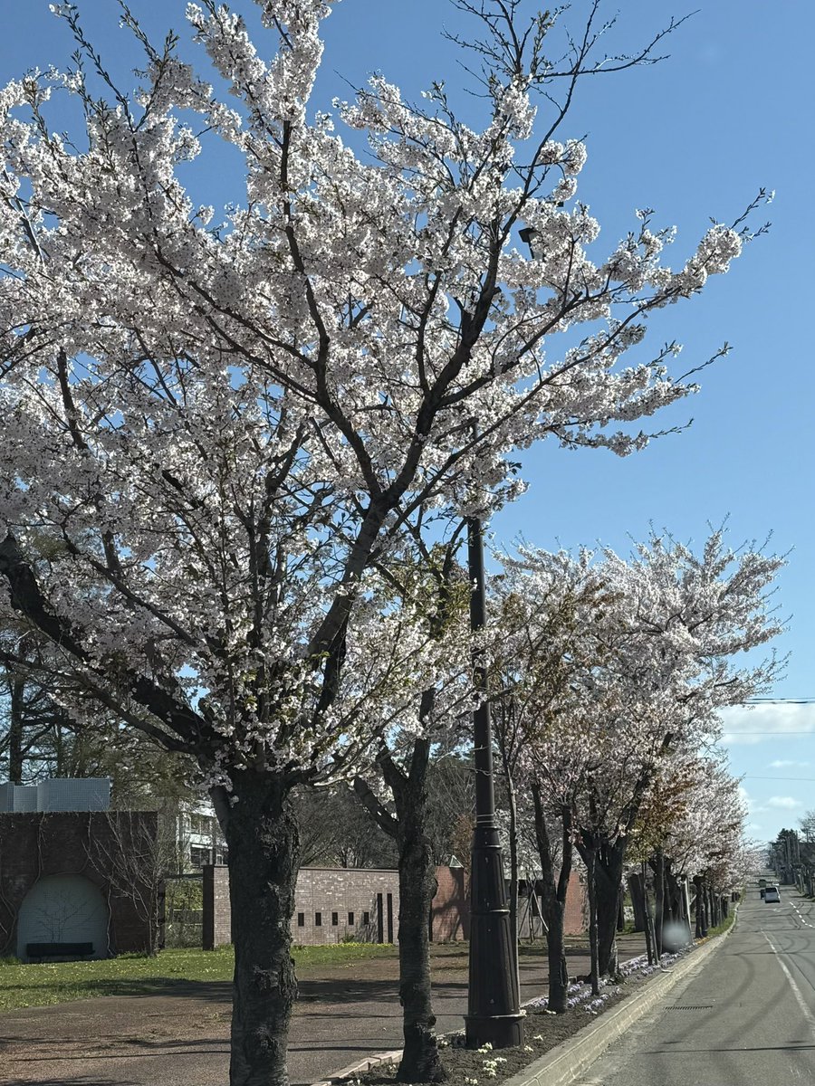 カフミ next up is 4/29 プレド tweet media