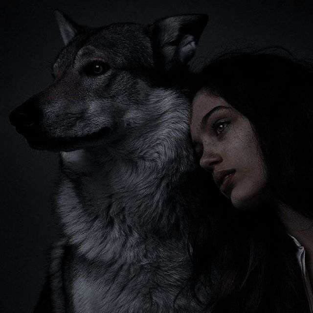 InmortalisRol's tweet photo. 》SE BUSCA ▪︎▪︎▪︎▪︎▪︎▪︎

¤ Astoria Virel (nombre opcional)
¤ Clan Blackstone
¤ Licántropo
¤ Rango opcional 
¤ FC: a elección

#inmortalisrp

《 Astoria nació en el corazón del Bosque Selene, pero pasó junto a su familia, a vivir en Bramburgo fingiendo normalidad. + https://t.co/SqEkGDHfG3