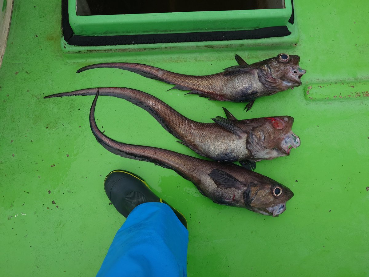 最⤴︎︎︎@☆宮 tweet media