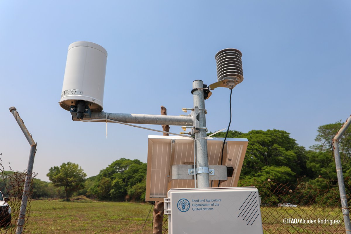 FAOHonduras's tweet photo. Esta tecnología es clave para: 
✅ Entender la interacción suelo-atmósfera en el Corredor Seco. 
✅ Fortalecer modelos de predicción climática (El Niño/La Niña). 
✅ Mejorar la toma de decisiones en los campos de producción nacional. 🚜🌽 https://t.co/Gr9cZncdl5