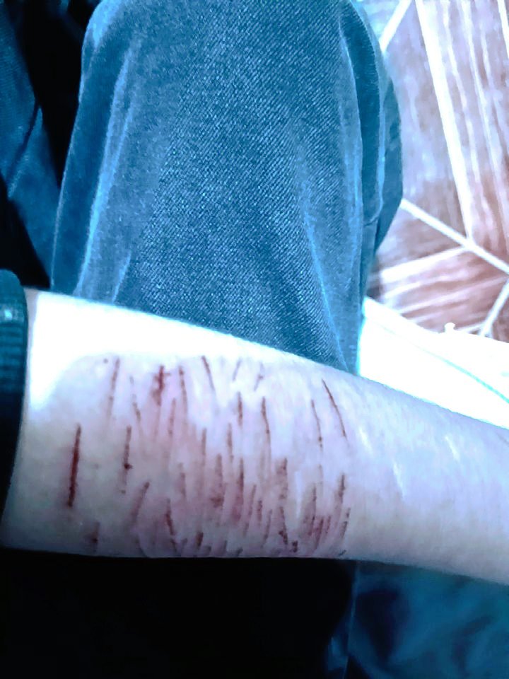 Lu | demon. tweet media