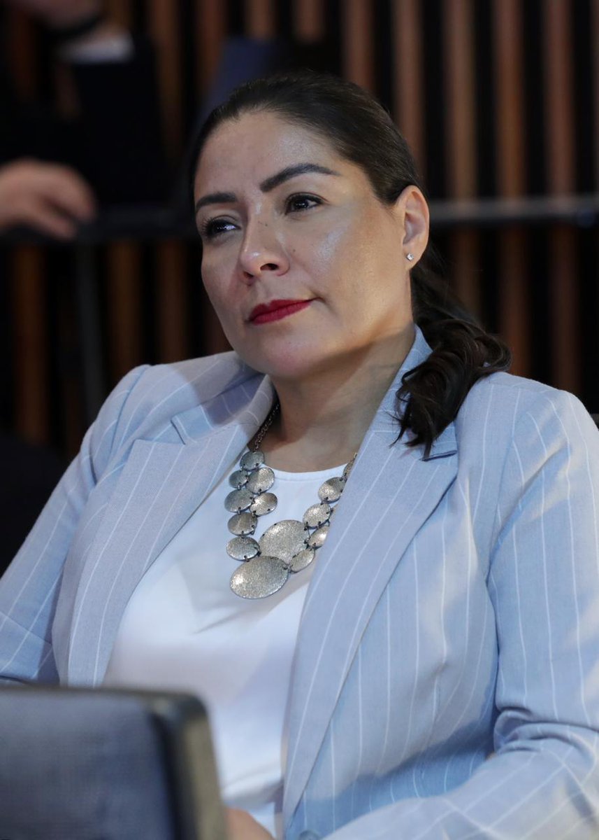 M. Alejandra Chávez Camarena tweet media