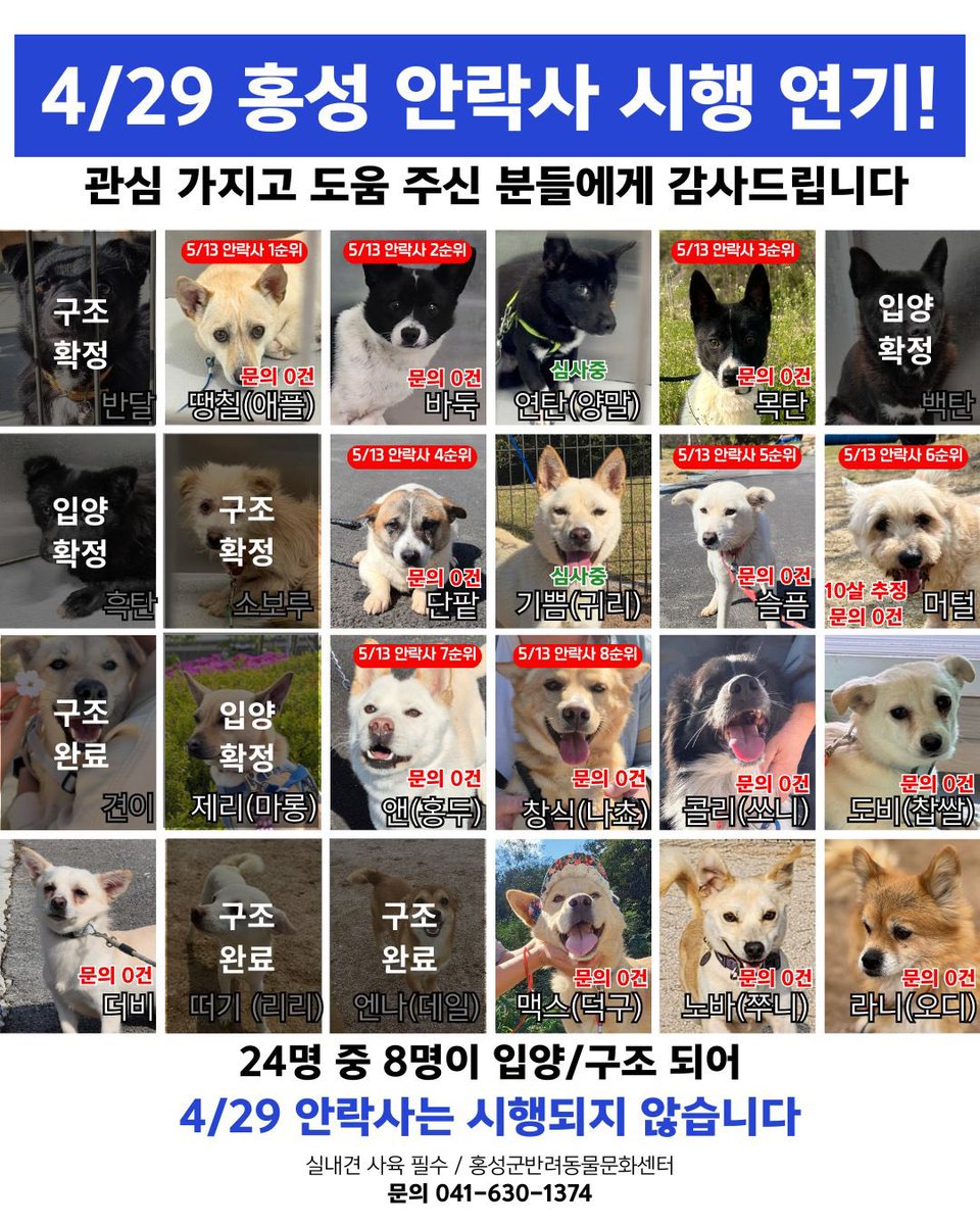 5/13 안락사🚨홍성 반려동물문화센터 입양 홍보 tweet media