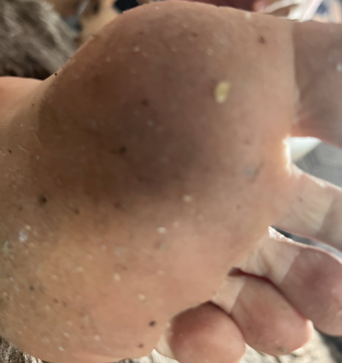 GoddessAnne tweet media