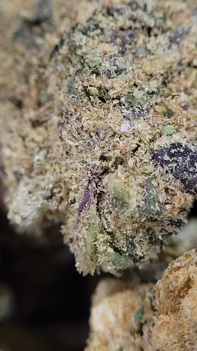 SarkazzHere's tweet image. Bright, loud, and impossible to ignore—Neon Sunshine from JK Distro brings that citrus punch with a smooth, uplifting vibe that hits just right. This one’s for when you want your day to glow a little different.

#StrainReview #ProductReview #NeonSunshine