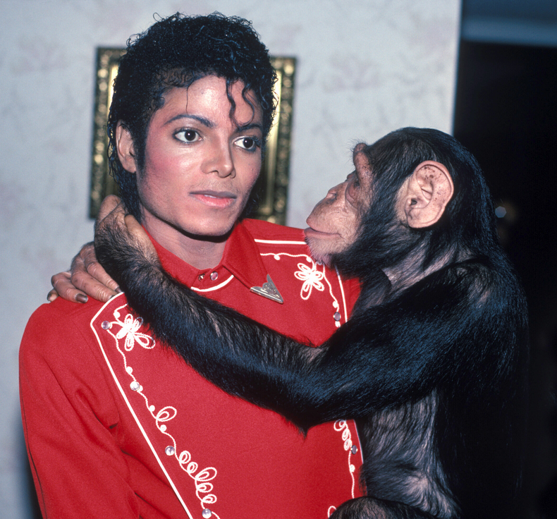 Peter Bird tweet media