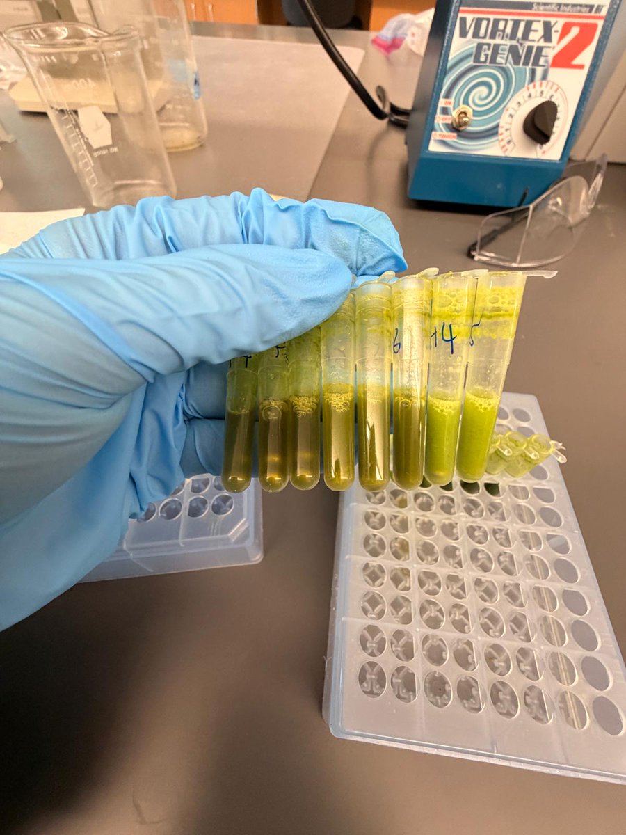 Jessica Budke PhD 🥼🌱🔬 tweet media