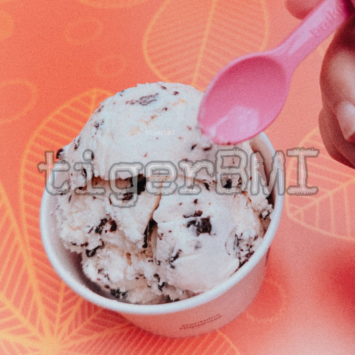 🐯Tyler❤️‍🩹 tweet media