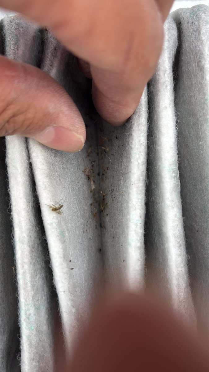 おかちゃん tweet media