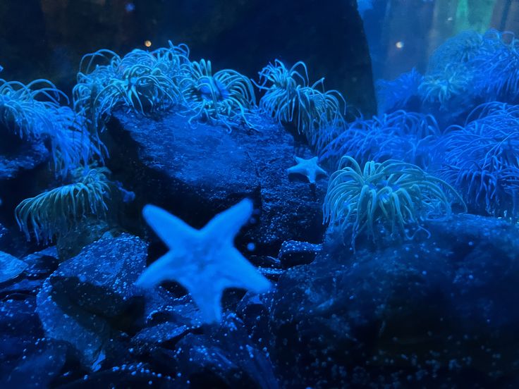 𝑙𝑦𝑟𝑎 tweet media