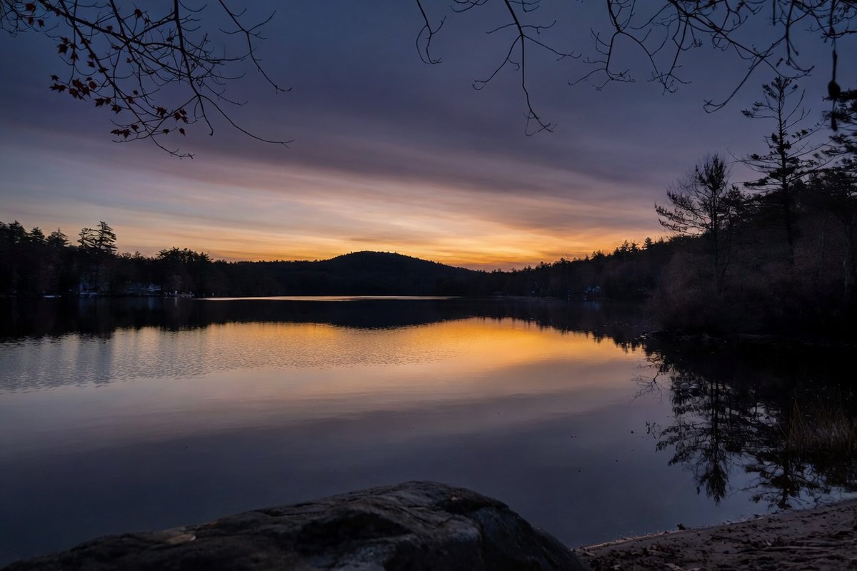 Granite Stater 🇺🇸 tweet media