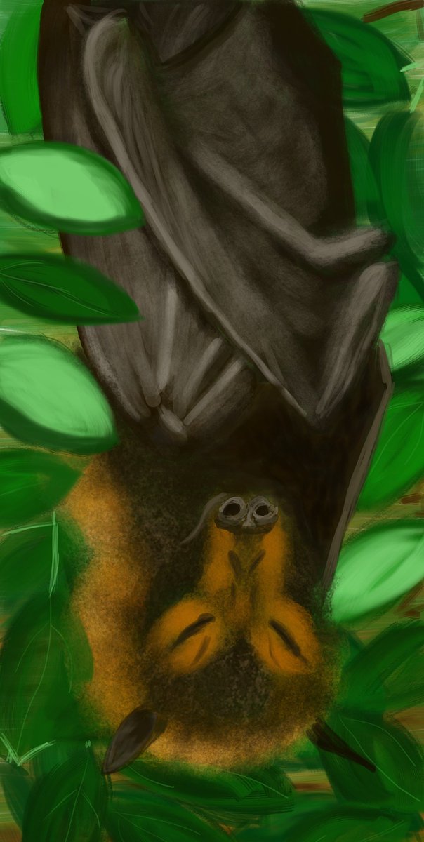 Bat Scholar the V҉i҉l҉e҉ tweet media
